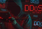 Importancia de la protección DDOS en sitios de WordPress